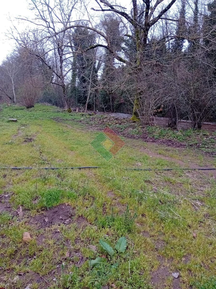 Quinta T10 para Venda em São Salvador da Aramenha Foto 6