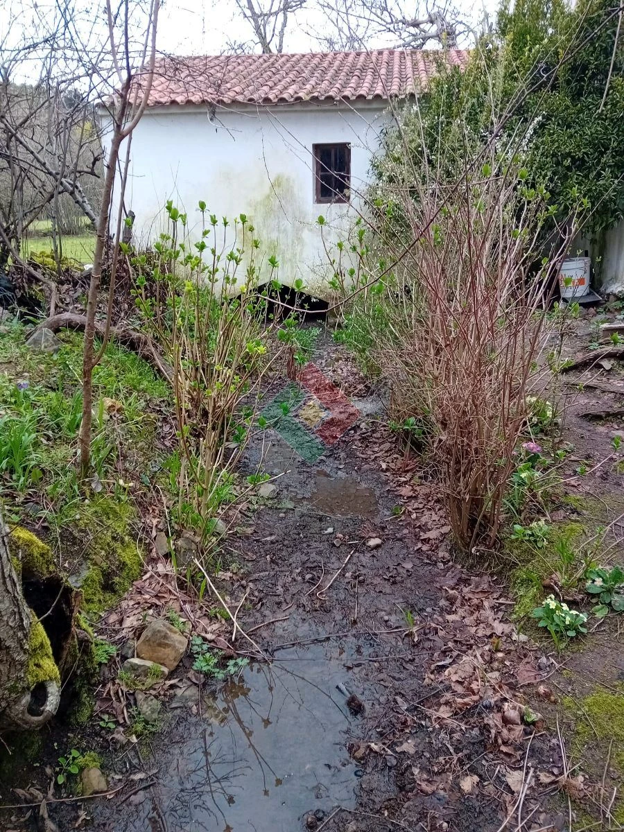 Quinta T10 para Venda em São Salvador da Aramenha Foto 11