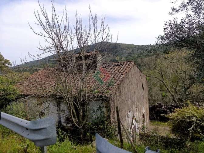 Quinta T10 para Venda em São Salvador da Aramenha Foto 17