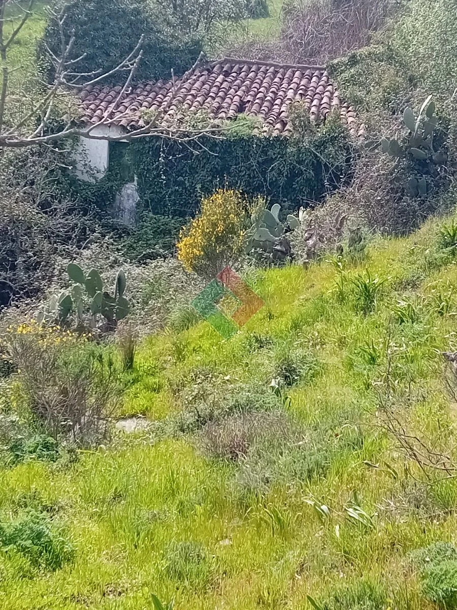 Quinta T10 para Venda em São Salvador da Aramenha Foto 19