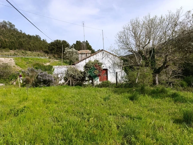 Quinta T10 para Venda em São Salvador da Aramenha Foto 20