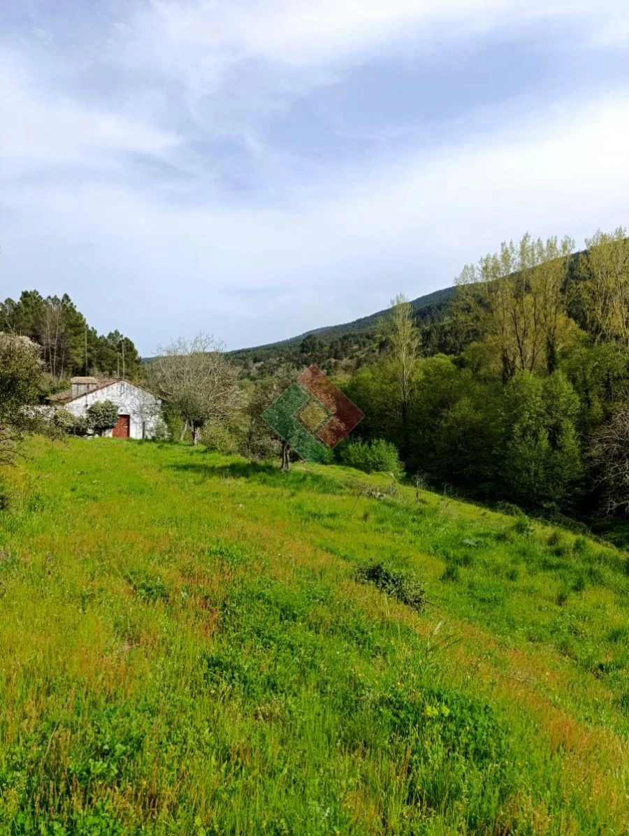 Quinta T10 para Venda em São Salvador da Aramenha Foto 21
