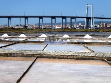 Terreno P/ Prédio para Venda em Tavarede