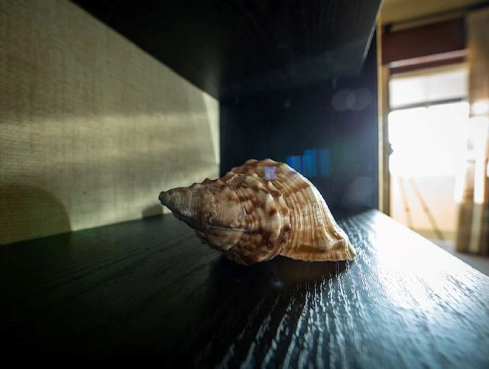 Apartamento T1 para Venda em Silveira Foto 23