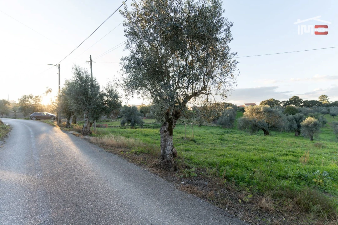 Terreno Agricola ou Rústico para Venda em Atouguia Foto 1