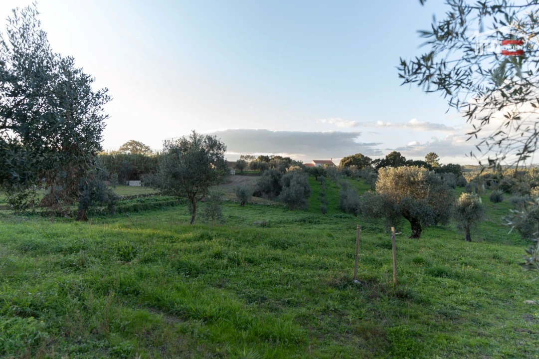 Terreno Agricola ou Rústico para Venda em Atouguia Foto 2