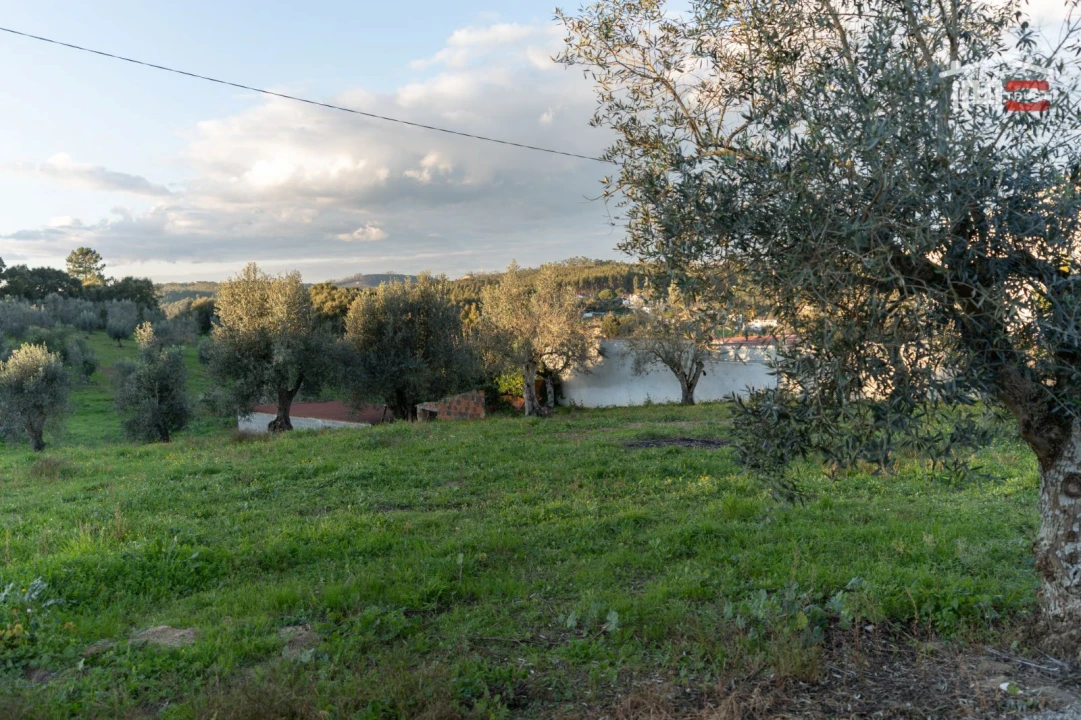 Terreno Agricola ou Rústico para Venda em Atouguia Foto 3