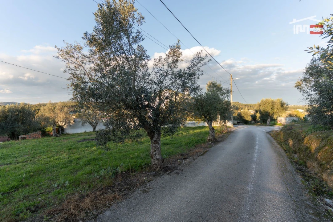 Terreno Agricola ou Rústico para Venda em Atouguia Foto 4