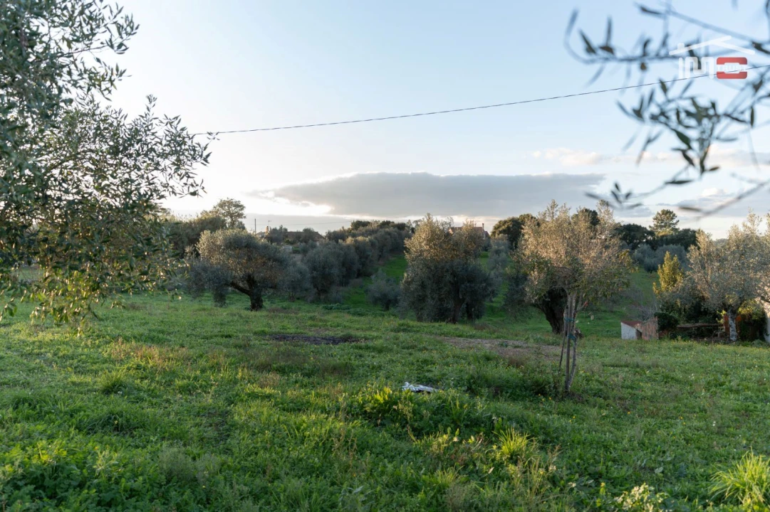 Terreno Agricola ou Rústico para Venda em Atouguia Foto 6