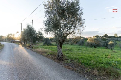 Terreno Agricola ou Rústico para Venda em Atouguia