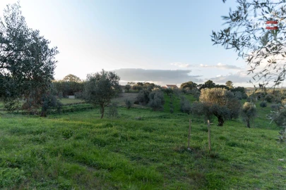 Terreno Agricola ou Rústico para Venda em Atouguia