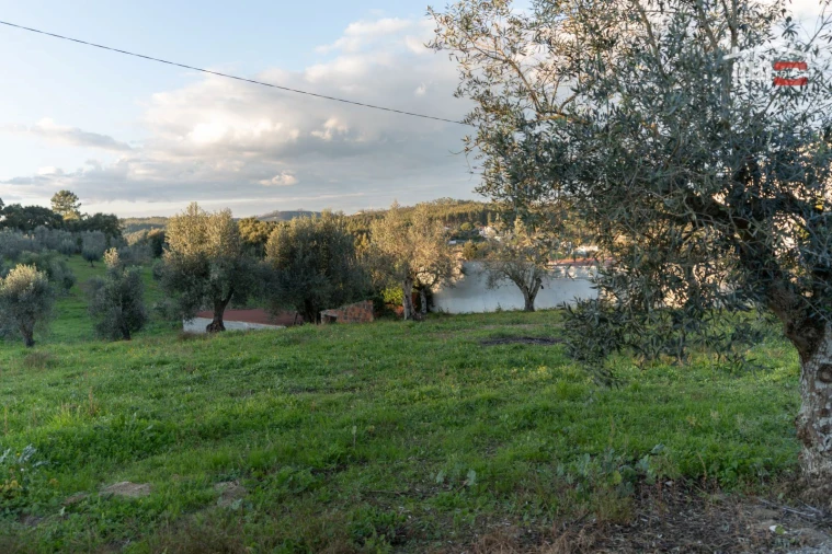 Terreno Agricola ou Rústico para Venda em Atouguia Foto 3