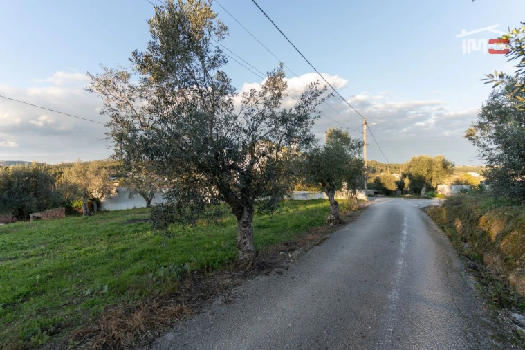 Terreno Agricola ou Rústico para Venda em Atouguia Foto 4
