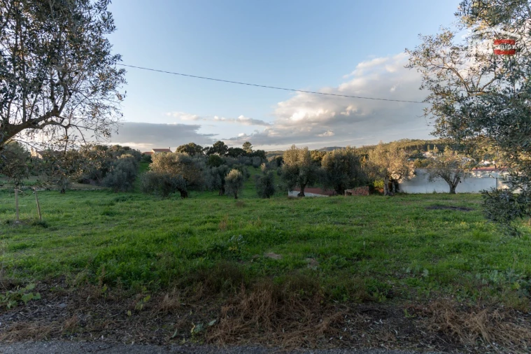 Terreno Agricola ou Rústico para Venda em Atouguia Foto 5