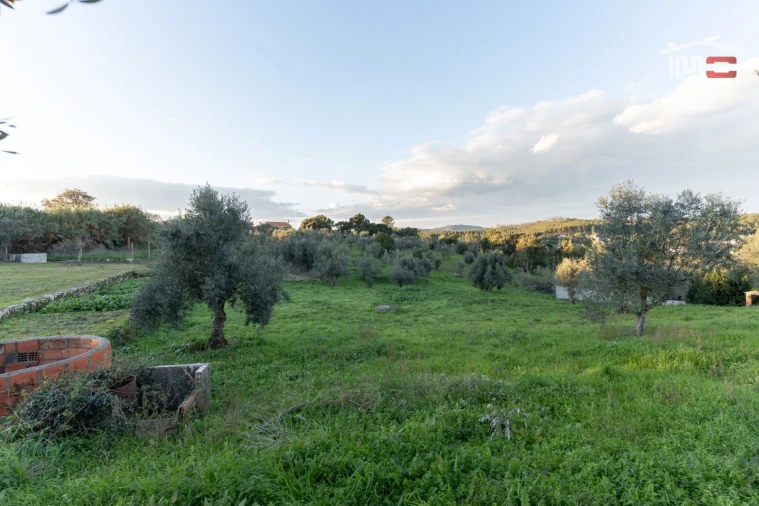 Terreno Agricola ou Rústico para Venda em Atouguia Foto 7