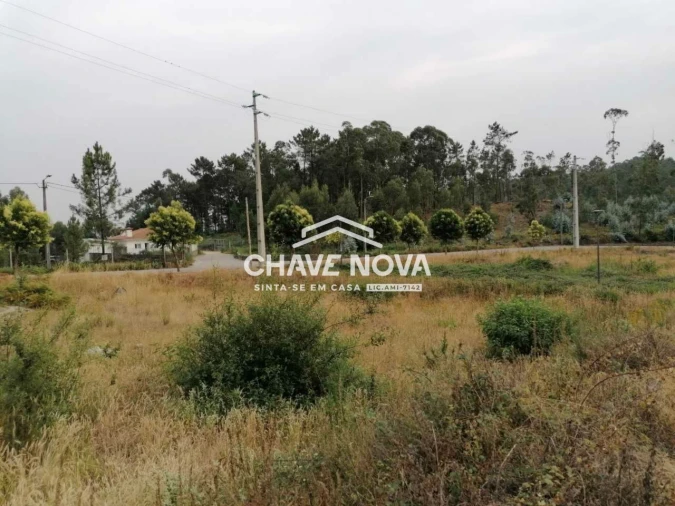 Terreno para Venda em Fajões Foto 5