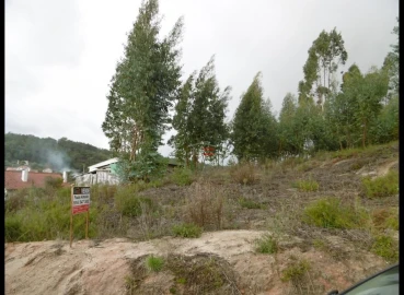 Terreno Misto para Venda em Nossa Senhora da Piedade