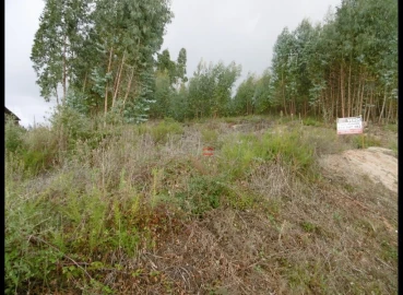 Terreno Misto para Venda em Nossa Senhora da Piedade