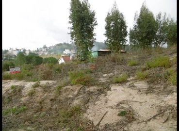 Terreno Misto para Venda em Nossa Senhora da Piedade