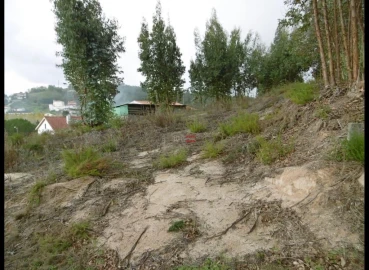 Terreno Misto para Venda em Nossa Senhora da Piedade