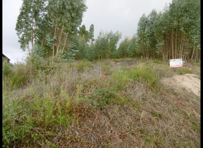 Terreno Misto para Venda em Nossa Senhora da Piedade Foto 4