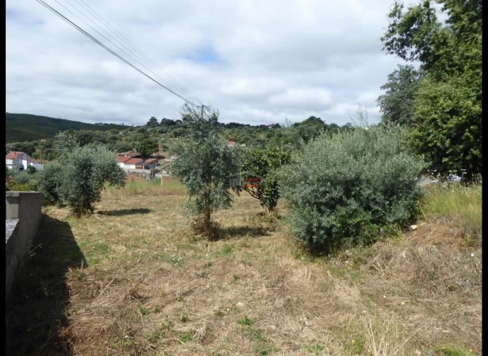 Terreno Misto para Venda em Atouguia Foto 5