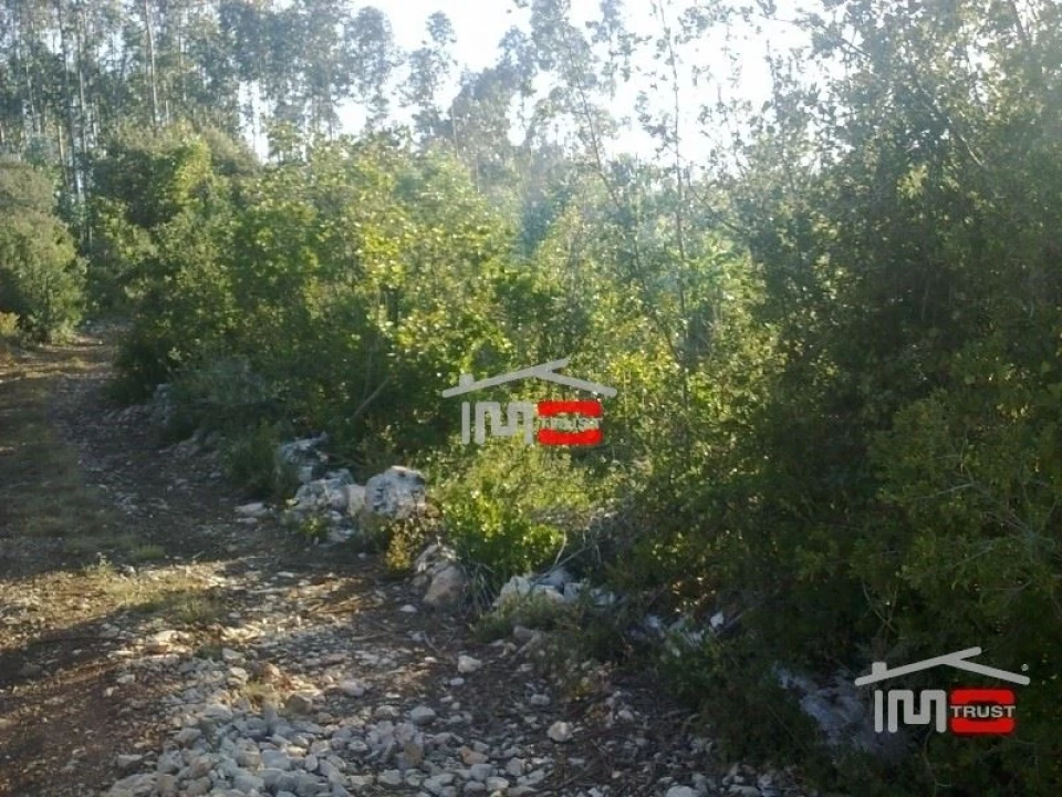 Terreno Misto para Venda em Fatima Foto 2