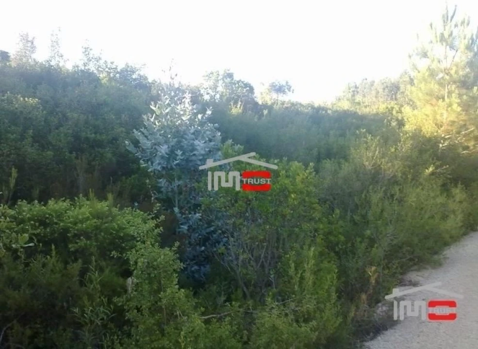 Terreno Misto para Venda em Fatima Foto 4