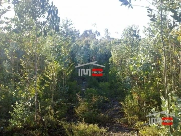 Terreno Misto para Venda em Fatima