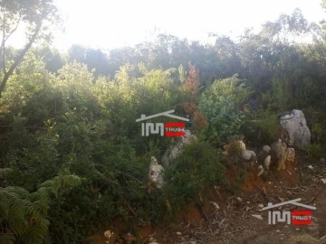 Terreno Misto para Venda em Fatima