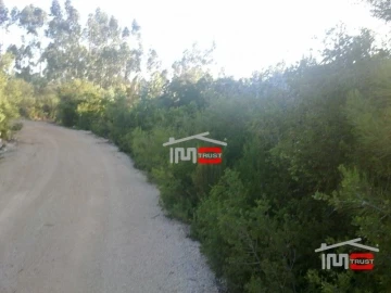 Terreno Misto para Venda em Fatima