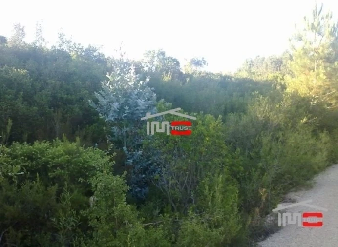 Terreno Misto para Venda em Fatima Foto 4