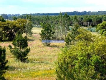 Terreno Agricola ou Rústico para Venda em Muge