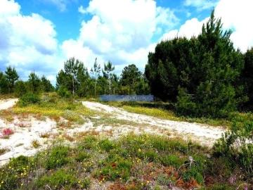 Terreno Agricola ou Rústico para Venda em Muge