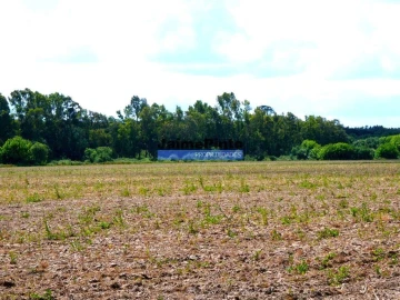 Terreno Agricola ou Rústico para Venda em Muge