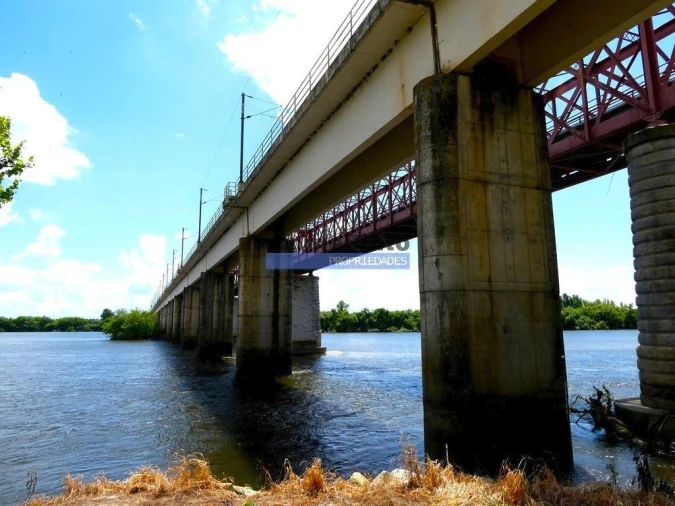 Terreno Agricola ou Rústico para Venda em Muge Foto 2