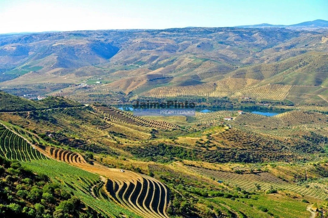 Moradia T4 para Venda em Escalhão Foto 8