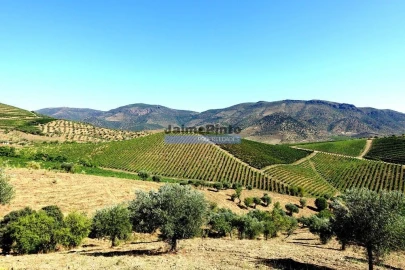 Moradia T4 para Venda em Escalhão