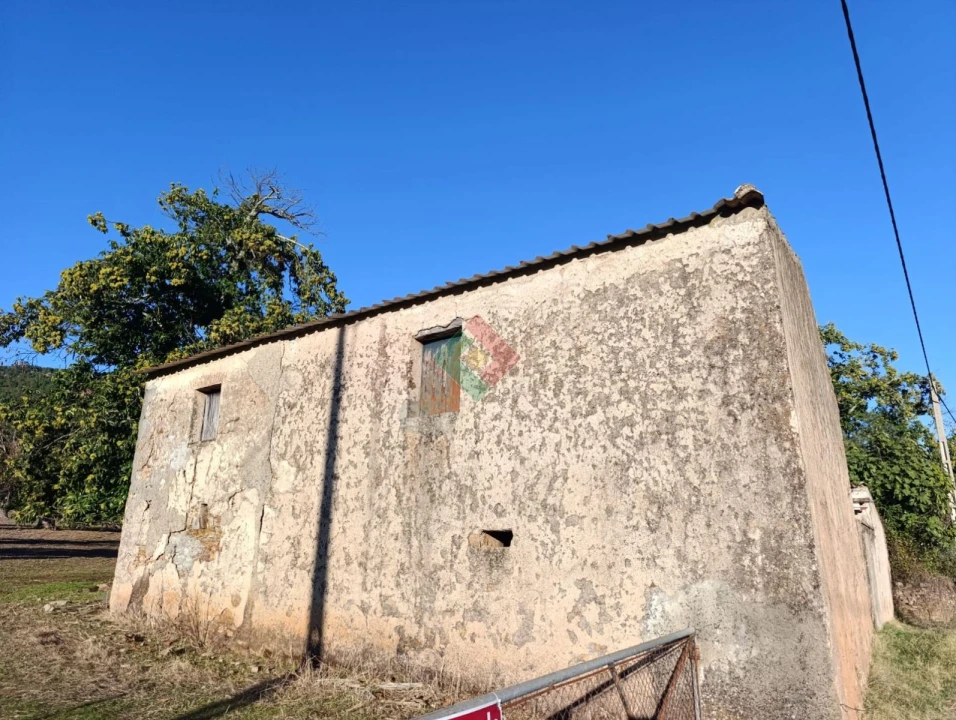 Terreno Agricola ou Rústico para Venda em São Salvador da Aramenha Foto 8