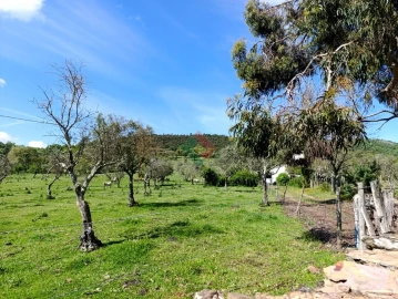 Terreno Agricola ou Rústico para Venda em São Salvador da Aramenha