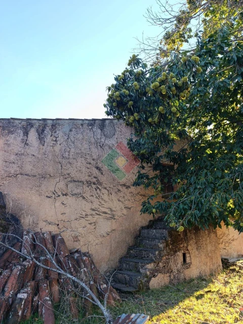 Terreno Agricola ou Rústico para Venda em São Salvador da Aramenha