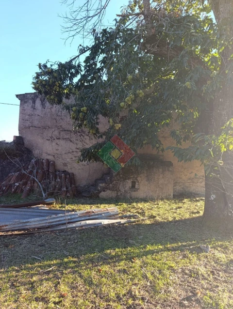 Terreno Agricola ou Rústico para Venda em São Salvador da Aramenha
