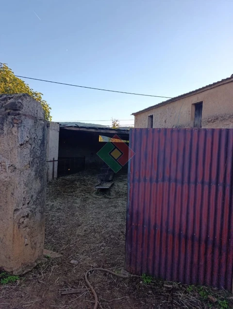 Terreno Agricola ou Rústico para Venda em São Salvador da Aramenha
