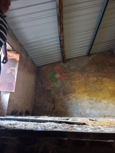 Terreno Agricola ou Rústico para Venda em São Salvador da Aramenha