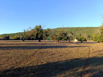 Terreno Agricola ou Rústico para Venda em São Salvador da Aramenha