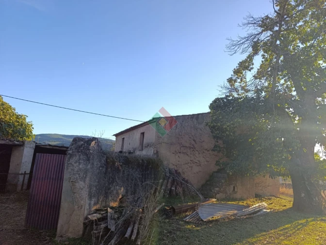 Terreno Agricola ou Rústico para Venda em São Salvador da Aramenha Foto 13