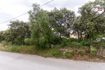 Terreno para Venda em Fatima