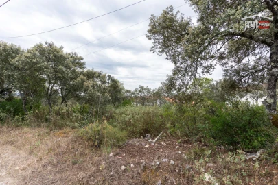 Terreno para Venda em Fatima