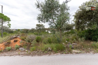 Terreno para Venda em Fatima