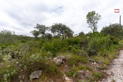 Terreno para Venda em Fatima